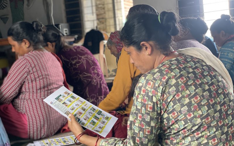 Occupational health and safety training in Birendranagar